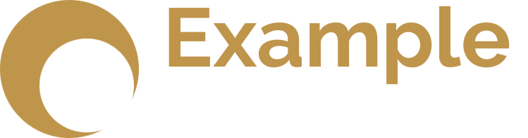 Example Company Eleven