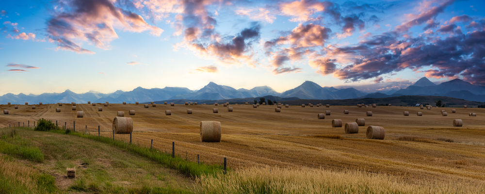 Alberta