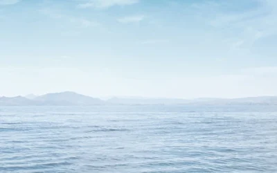 The Crucial Role of a Smith Mountain Lake Title Company in Home Purchases